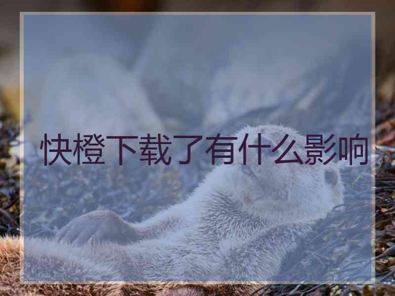 快橙下载了有什么影响