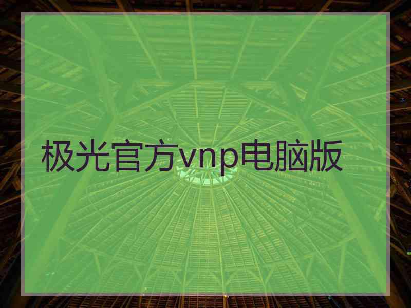 极光官方vnp电脑版