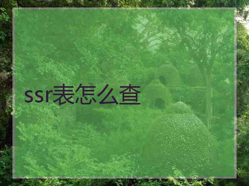 ssr表怎么查