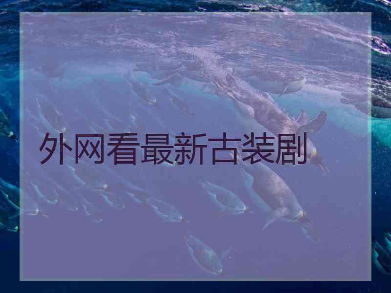 外网看最新古装剧