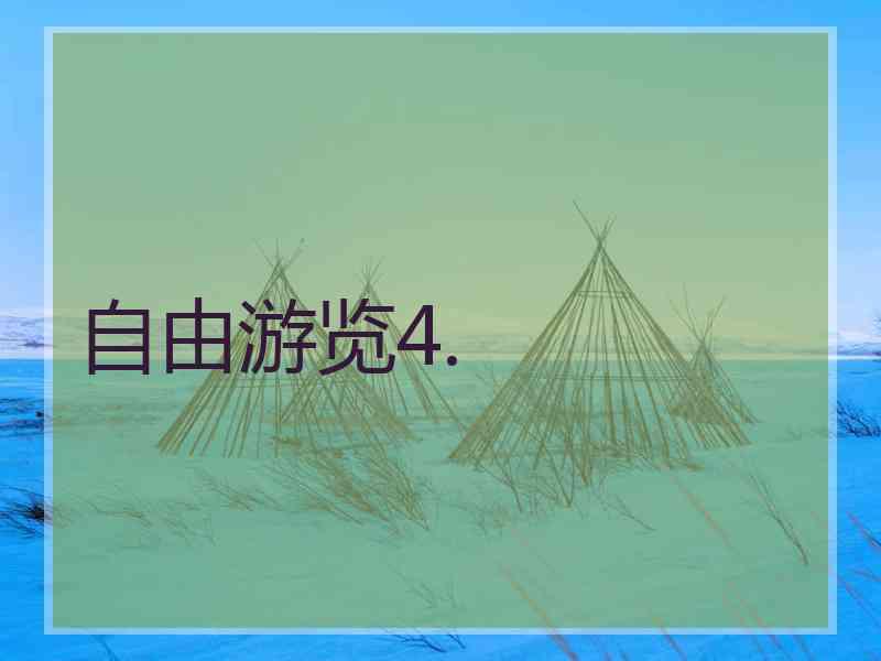 自由游览4.