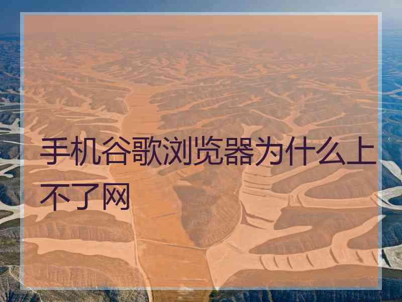手机谷歌浏览器为什么上不了网