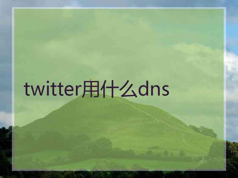 twitter用什么dns
