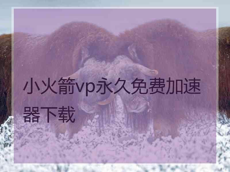 小火箭vp永久免费加速器下载
