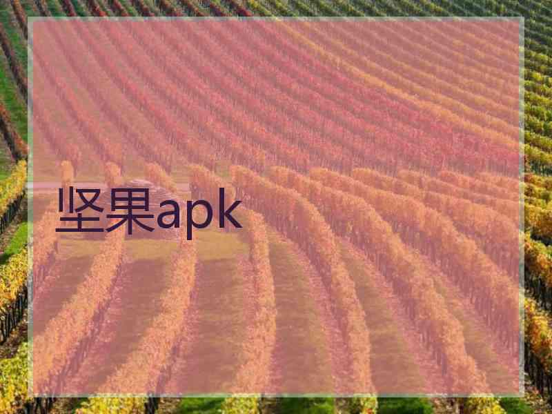 坚果apk