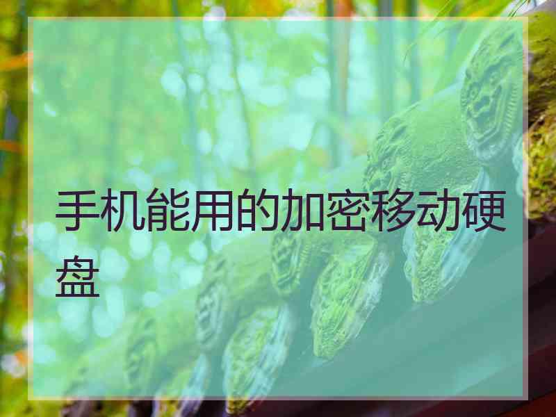 手机能用的加密移动硬盘
