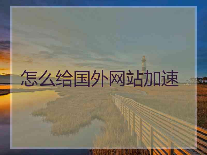 怎么给国外网站加速