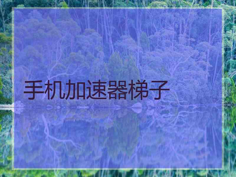 手机加速器梯子