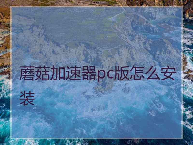蘑菇加速器pc版怎么安装