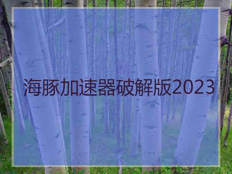 海豚加速器破解版2023