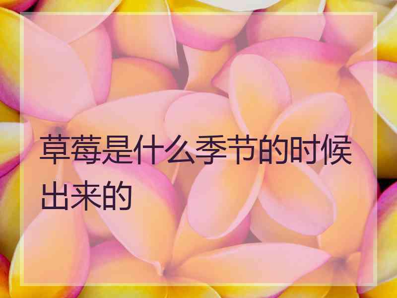 草莓是什么季节的时候出来的