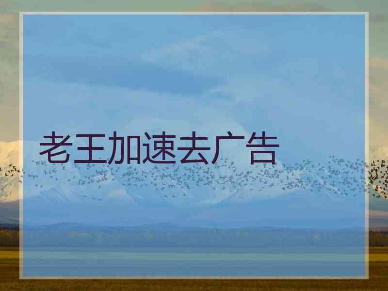 老王加速去广告