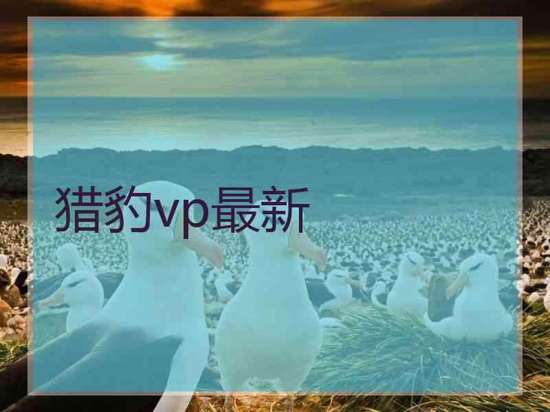 猎豹vp最新