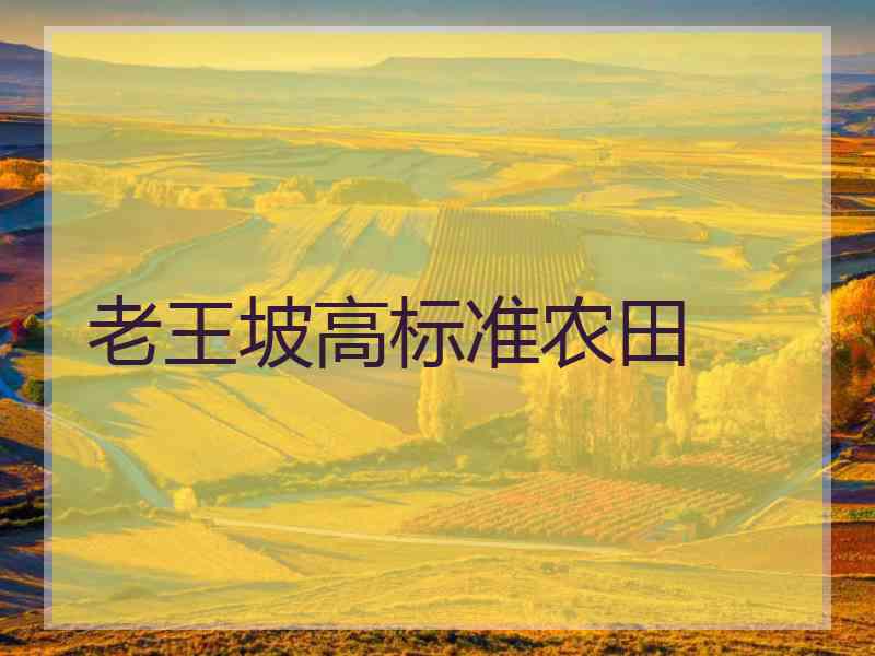 老王坡高标准农田