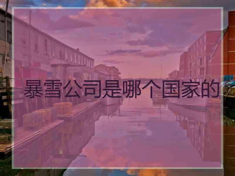 暴雪公司是哪个国家的