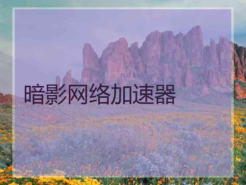 暗影网络加速器