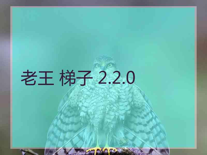 老王 梯子 2.2.0