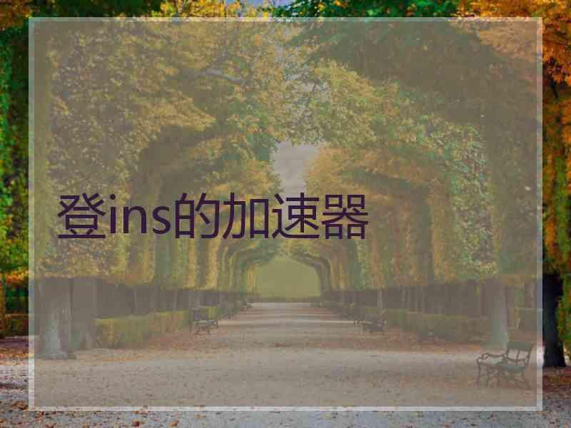 登ins的加速器