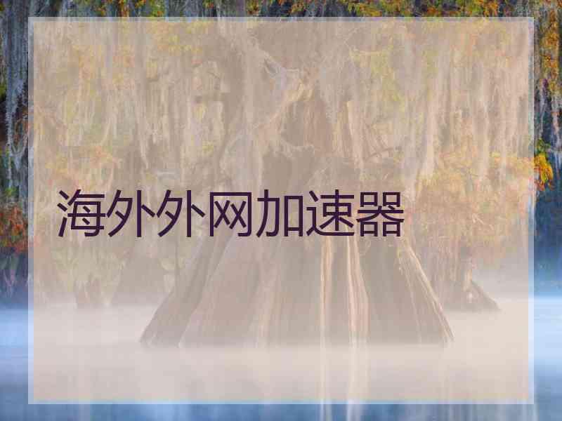 海外外网加速器