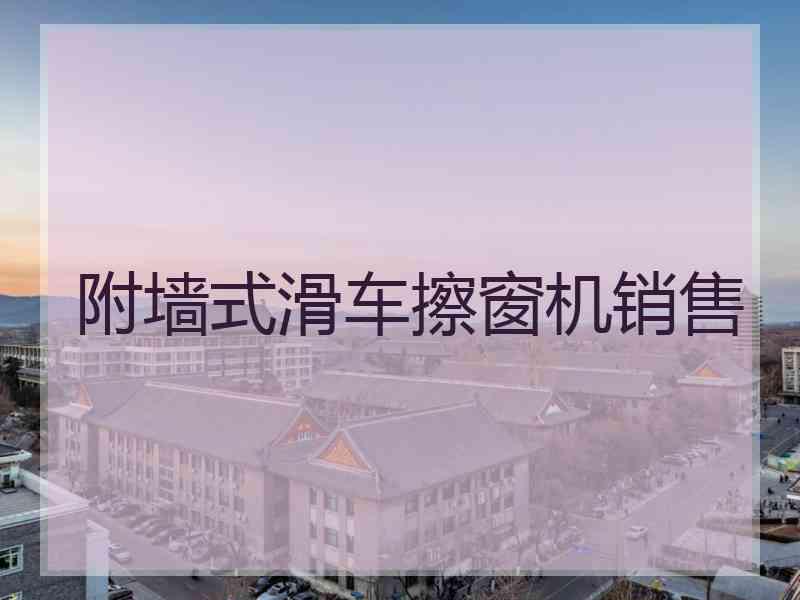 附墙式滑车擦窗机销售