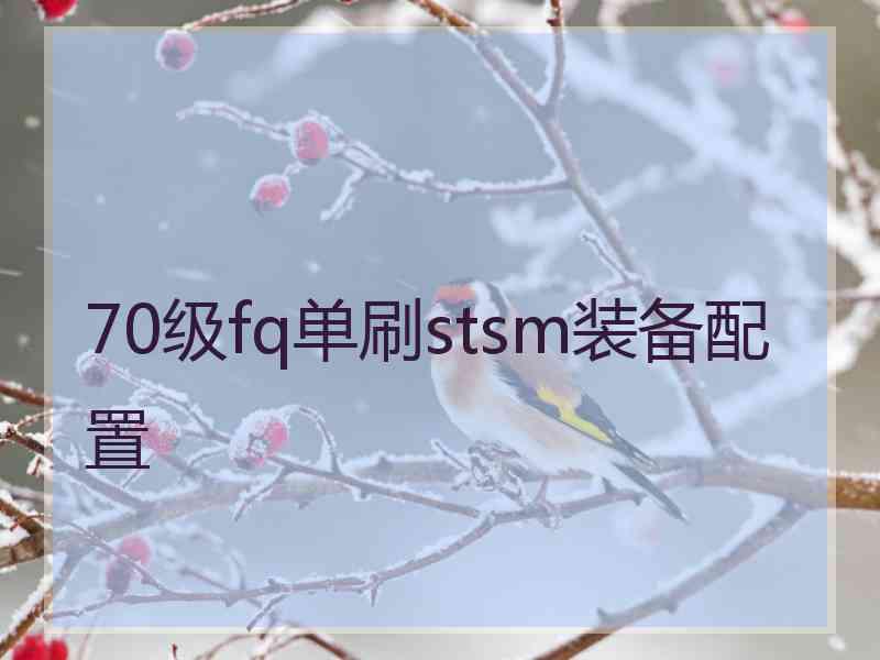 70级fq单刷stsm装备配置