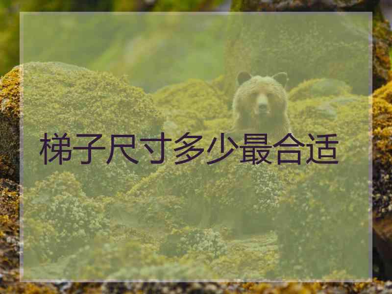 梯子尺寸多少最合适