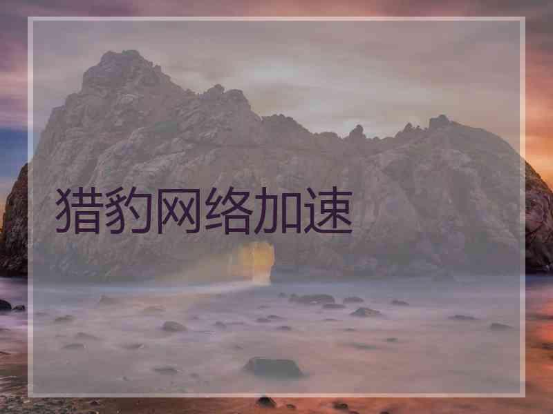 猎豹网络加速