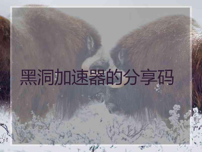 黑洞加速器的分享码