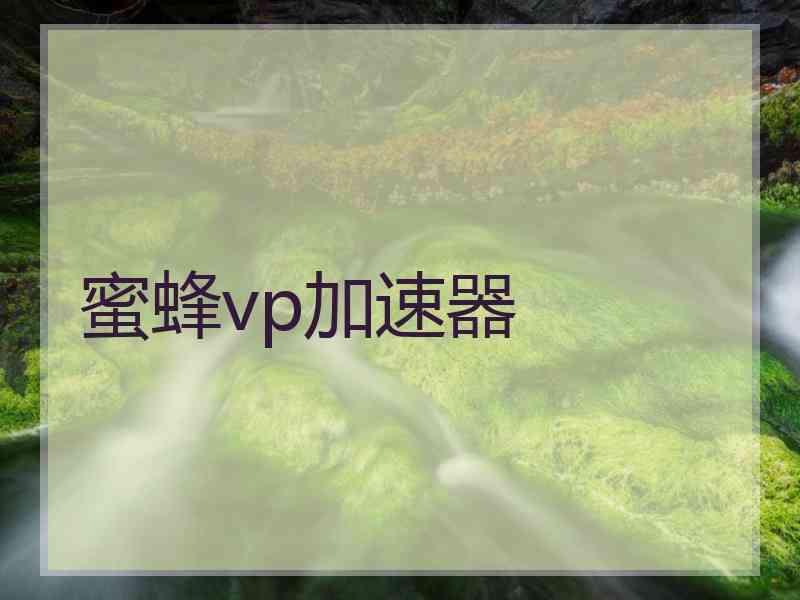 蜜蜂vp加速器