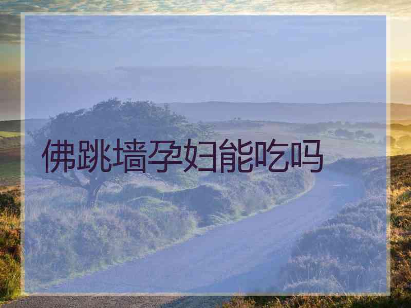 佛跳墙孕妇能吃吗