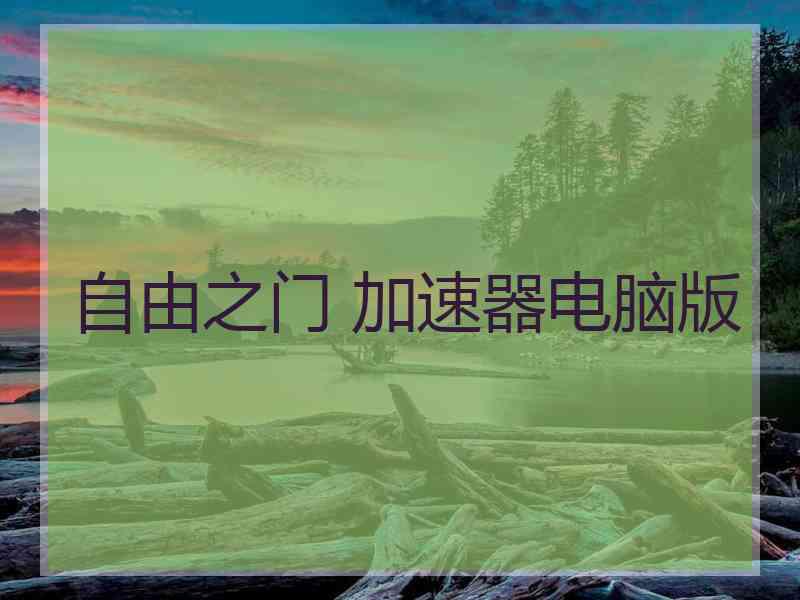 自由之门 加速器电脑版