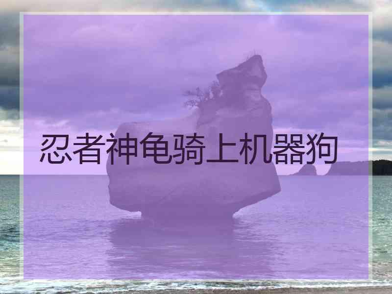 忍者神龟骑上机器狗