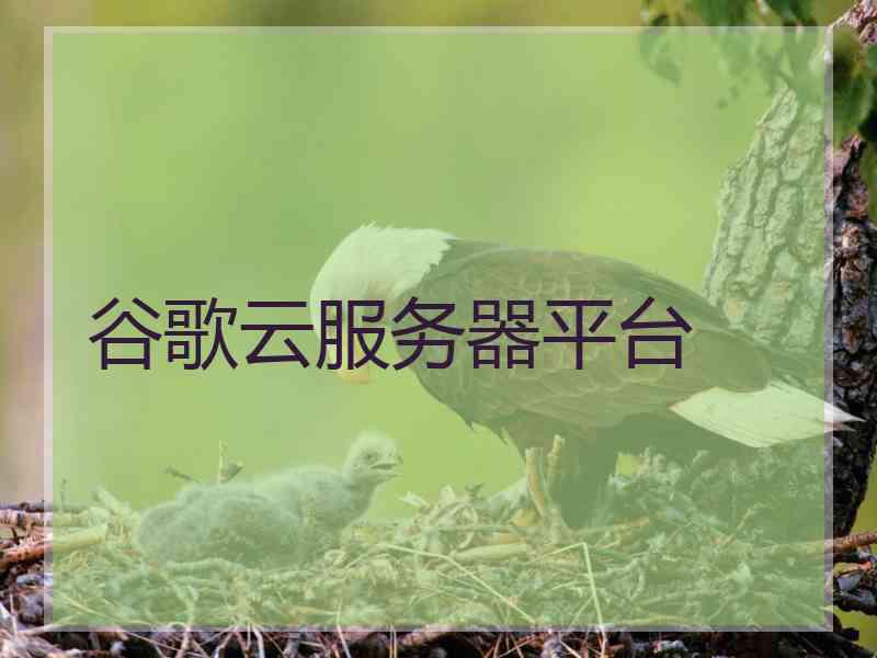 谷歌云服务器平台