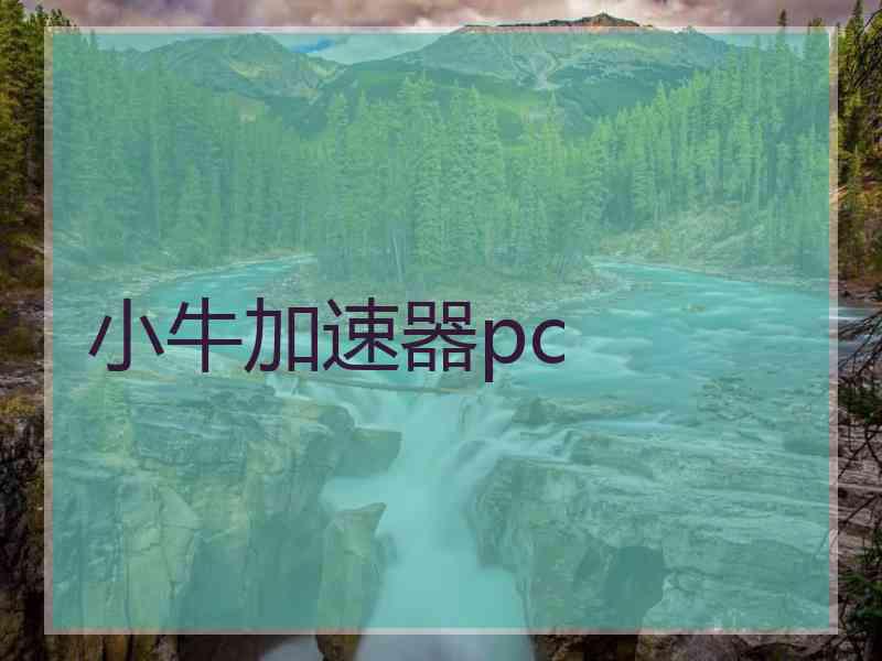 小牛加速器pc