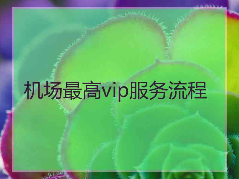 机场最高vip服务流程
