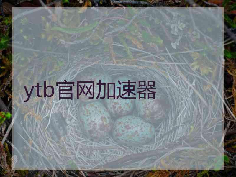 ytb官网加速器