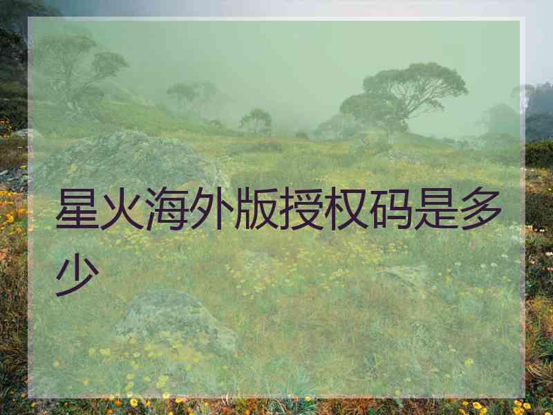 星火海外版授权码是多少