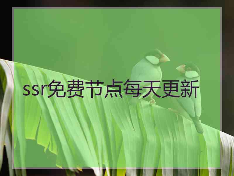 ssr免费节点每天更新