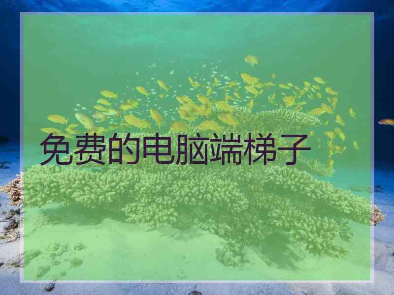 免费的电脑端梯子