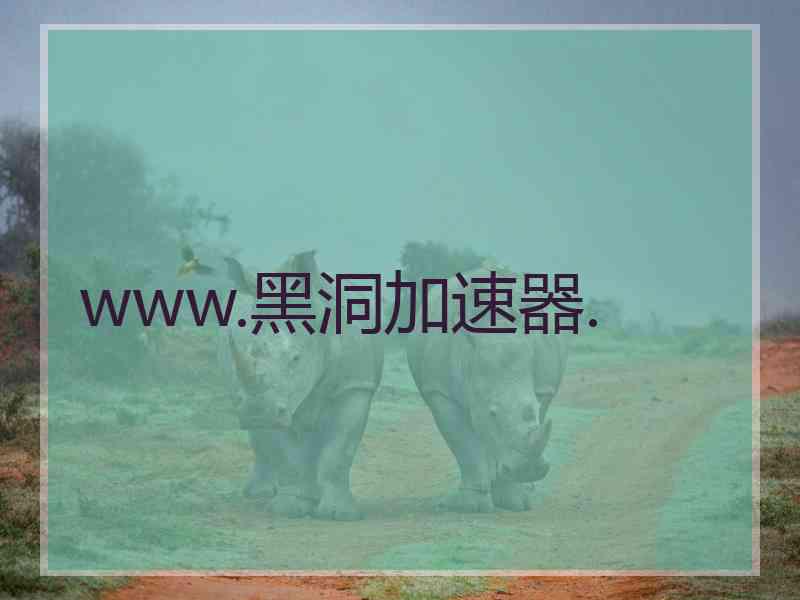 www.黑洞加速器.