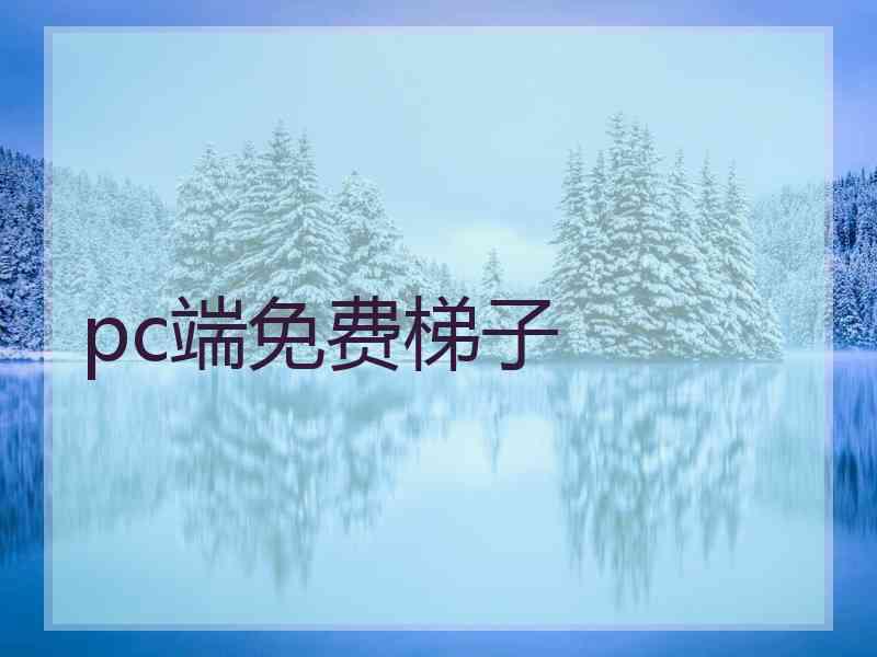 pc端免费梯子