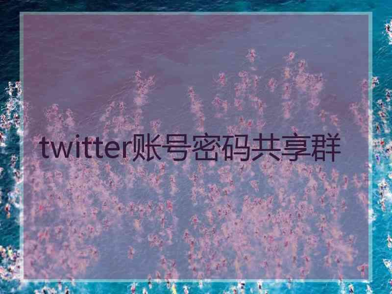 twitter账号密码共享群