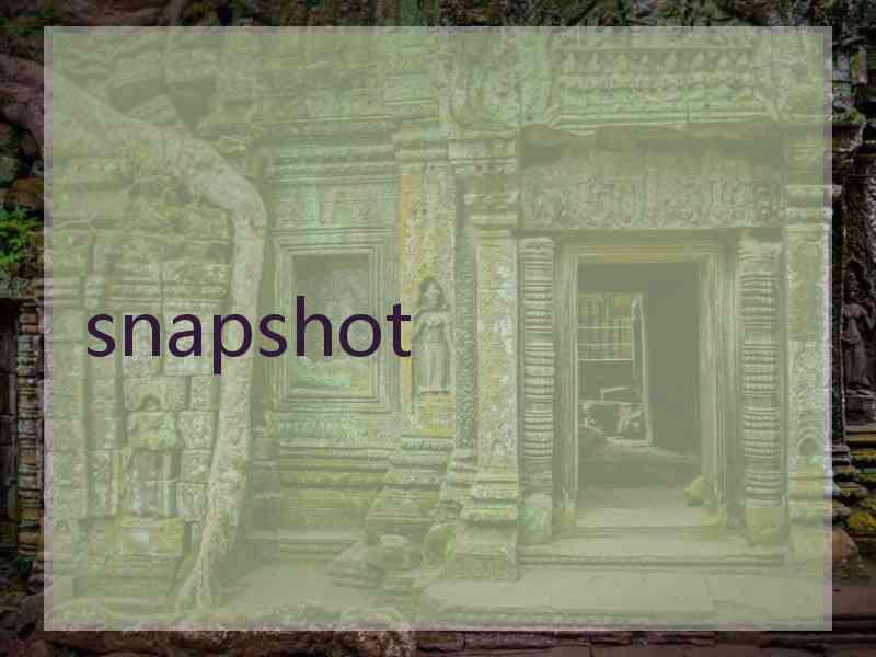 snapshot