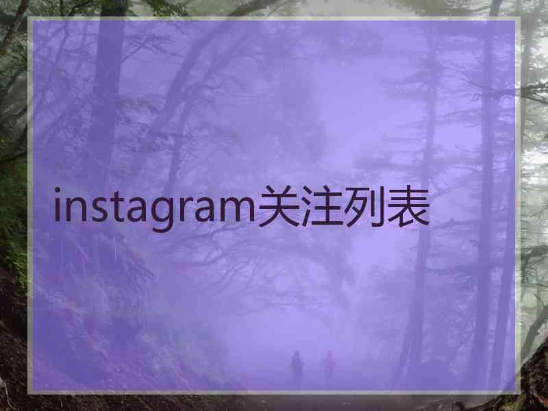 instagram关注列表
