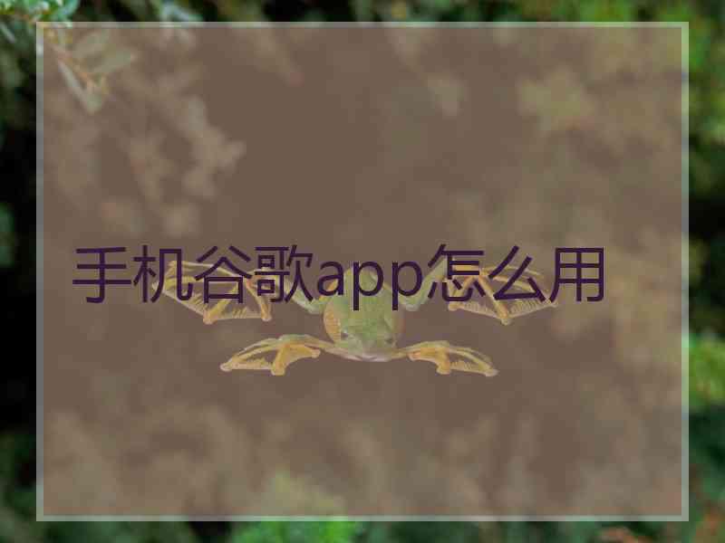 手机谷歌app怎么用