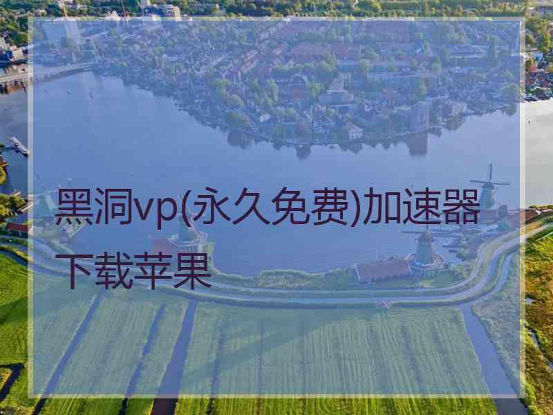黑洞vp(永久免费)加速器下载苹果