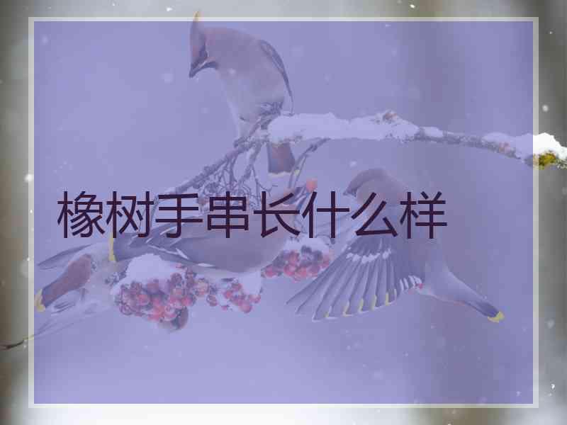 橡树手串长什么样