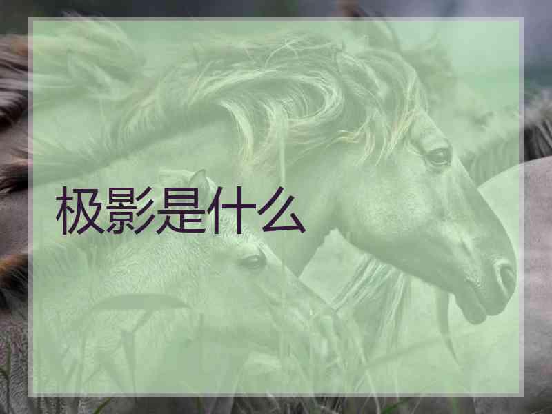 极影是什么