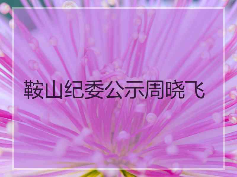 鞍山纪委公示周晓飞