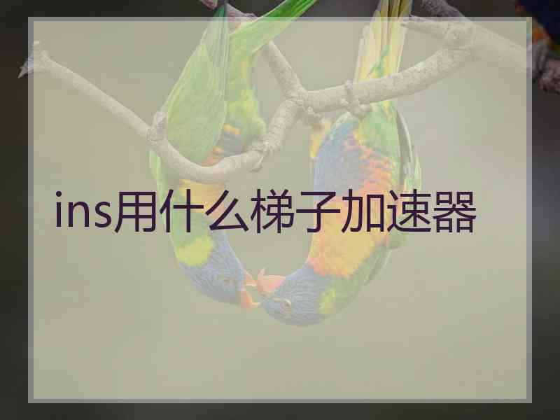 ins用什么梯子加速器